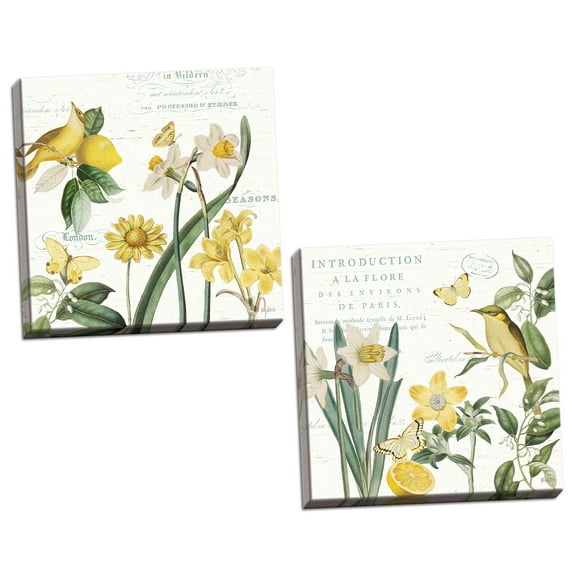 Gango Home Decor Cottage Citron Curiosities II & III by Katie Pertiet (Ready to Hang); Two 12x12in Hand-Stretched Canvases