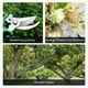 thumbnail image 5 of Juego de tijeras de jardinería de 3 piezas | Tijeras de podar multiusos de acero inoxidable | Mangos para flores, ramas y uso doméstico | Herramientas naranjas, verdes y amarillas, 5 of 6