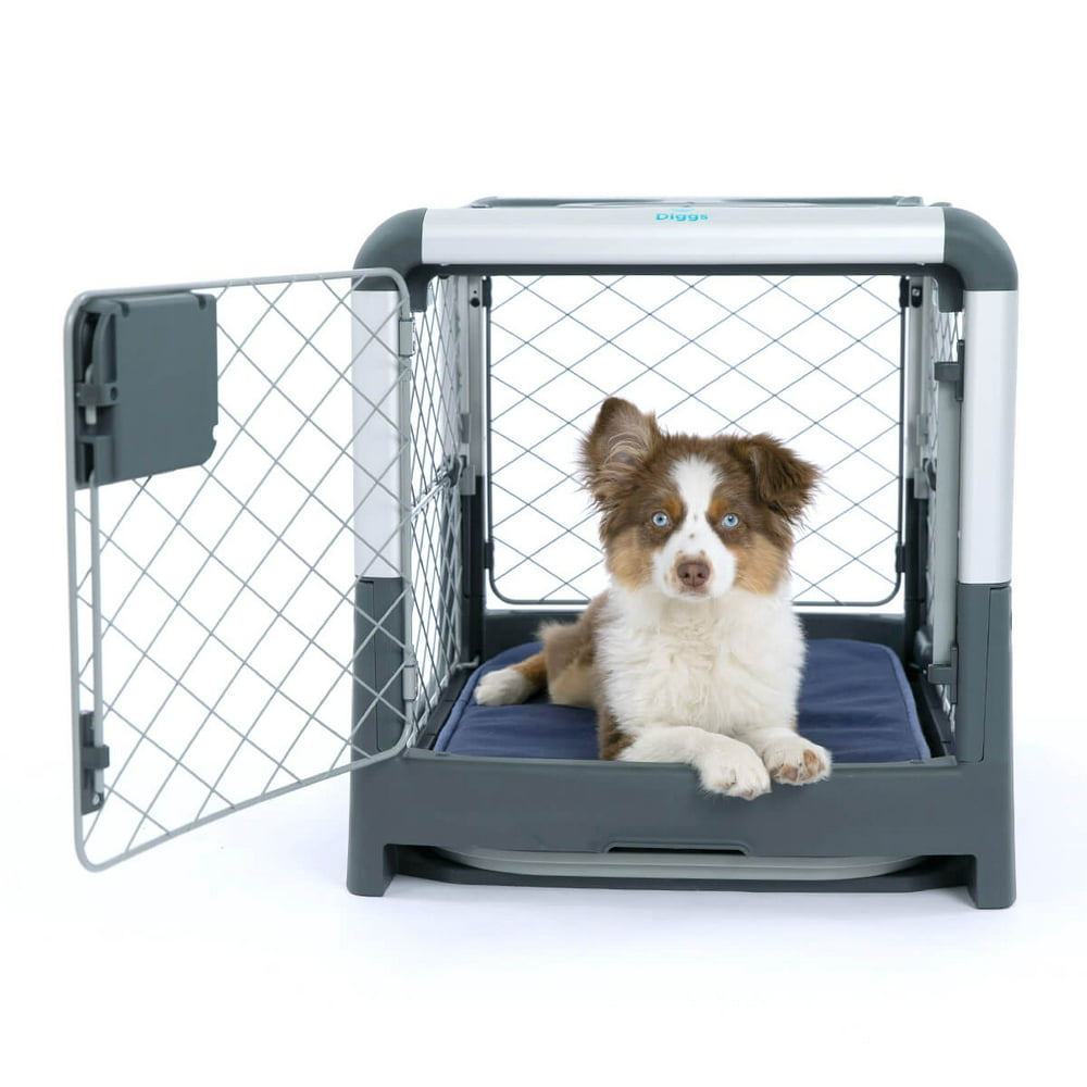 travel dog crate near me