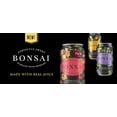 thumbnail image 3 of Bonsai Sweetened Sparkling Water Variety Pack, Mango Pineapple Ginger & Cherry Peach, 12 oz Cans, 32 Pack (16 Each Flavor), 3 of 5