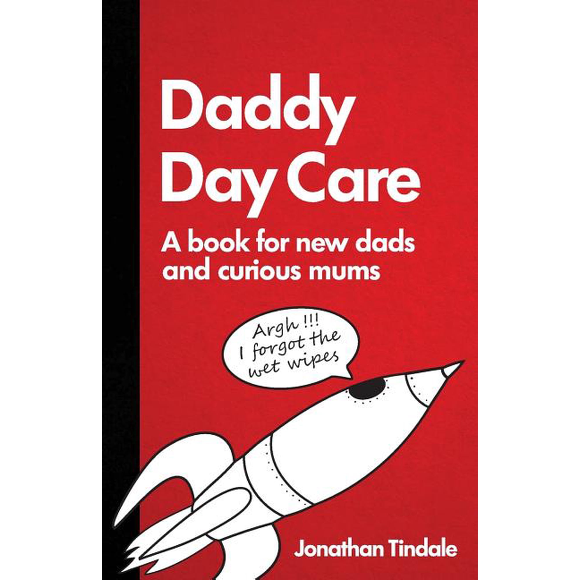 Daddy Day Care: A book for new dads and curious mums