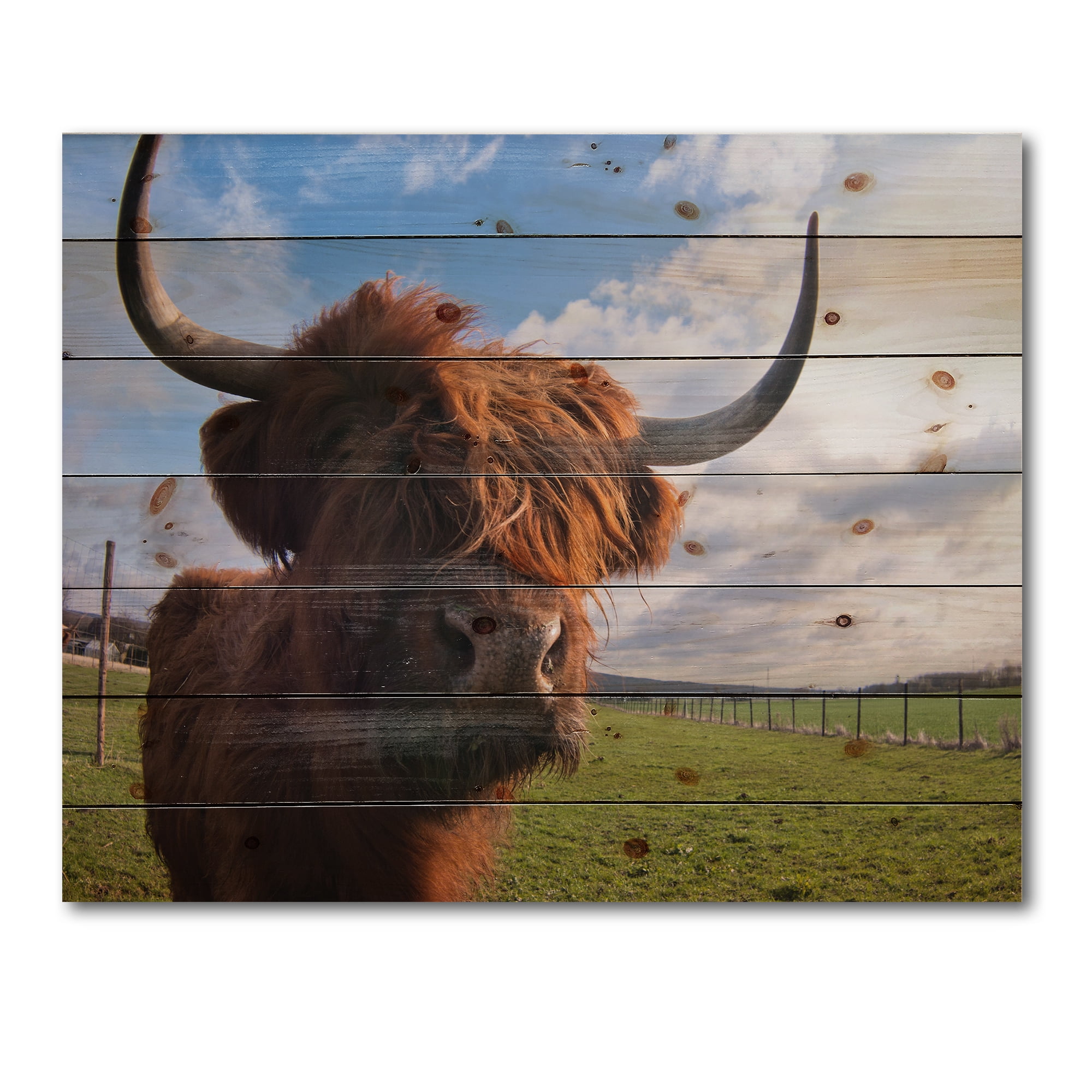 Designart 'Close Up Portrait Of A Yak' Farmhouse Print on Natural Pine Wood