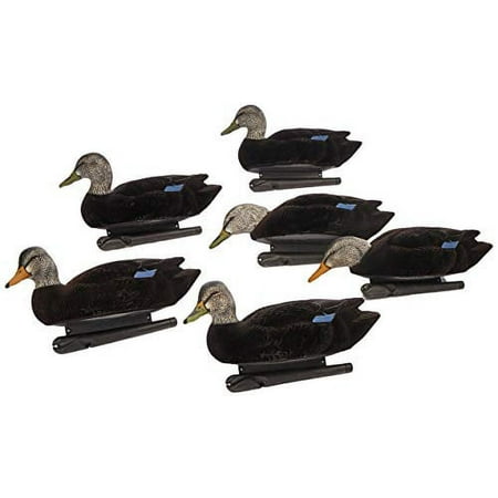 AvianX Top Flight Flocked Duck Floater Decoy (6 Pack) Black