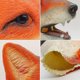 thumbnail image 5 of Fox Mask - Halloween Latex Animal Head Mask, 5 of 5