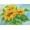 Wistful Sunflowers, variant on Diamond Dotz Wistful Sunflowers Floral Diamond Painting Kits for Adults - Diamond Art Kits a Relaxing Creative Craft Kit with Dotz Gems 10.6"x14.6"