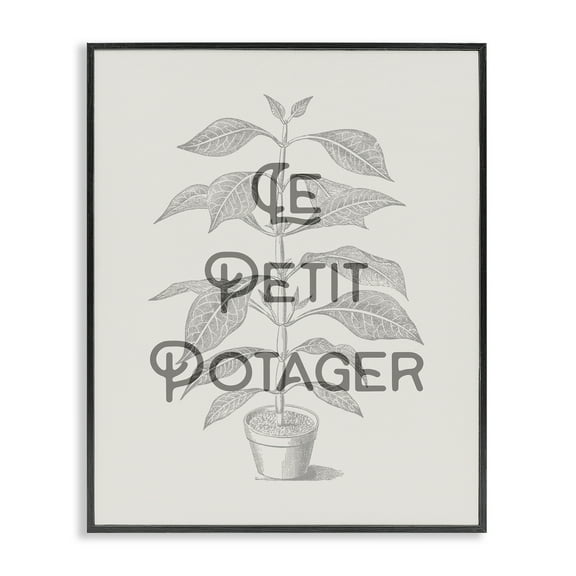 Stupell Industries Vintage French Plant Phrase Quotes and Sayings Painting Black Framed Art Print Wall Art, 11 x 14