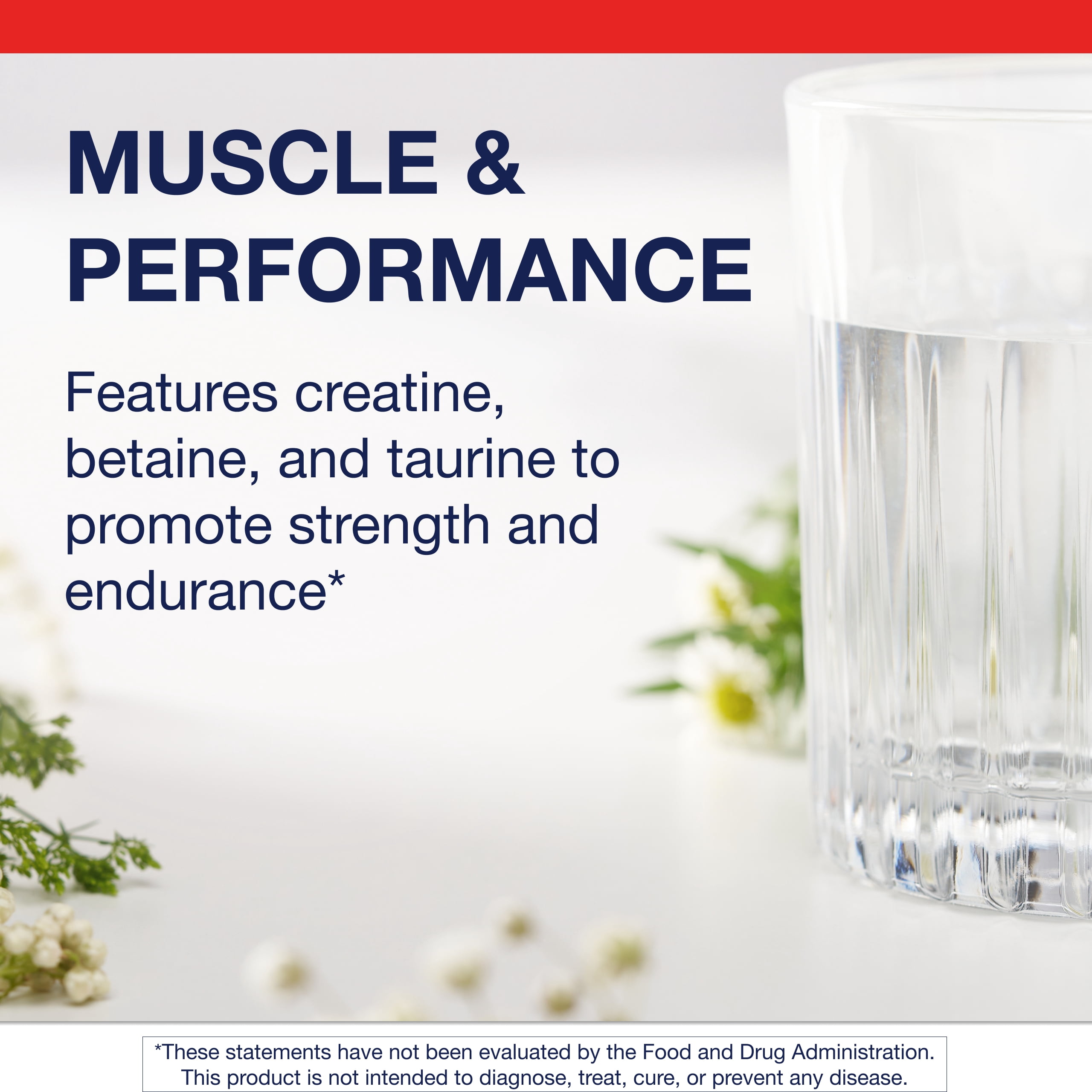 Metagenics Creatine UP – Creatine Supplement for Women & Men with Betaine & Taurine – Supports Muscle Growth, Strength & Recovery – Non-GMO, Gluten-Free – 16.93 oz (480g)