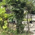 thumbnail image 6 of S-HOME Metal Garden Trellis Set, Rust-Resistant Finish, 2 Pack for Climbing Plants and Flowers, Outdoor, 6 of 10