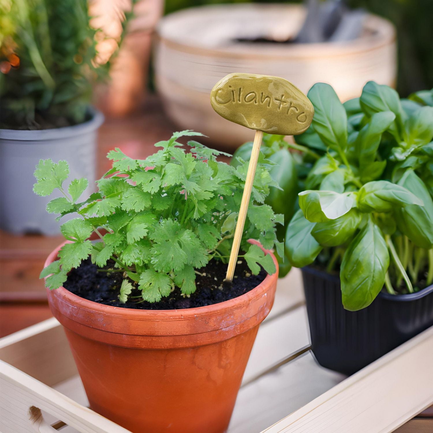 Hometrends  10'' Herb Marker Cilantro