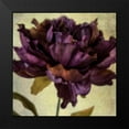 thumbnail image 2 of Malek, Honey 12x12 Black Modern Framed Museum Art Print Titled - Lush Vintage Florals IV, 2 of 5