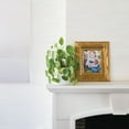 thumbnail image 6 of Tempaper Moire Dots Light Tan Peel and Stick Wallpaper, 20.5" x 16.5', 6 of 7