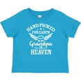 thumbnail image 3 of Inktastic Handpicked for Earth by My Grandpa in Heaven Angel Wings Boys or Girls Baby T-Shirt, 3 of 5
