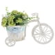 thumbnail image 1 of Ornamento de escritorio de la rejilla de almacenamiento de la planta del soporte artificial en forma de bicicleta en forma de bicicleta para el escritorio para el hogar, 1 of 6
