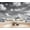 Color 3, variant on Wallpaper Black White Tropical Rainforest Forest Trees River Mountains Clouds Peel and Stick Wall Murals 100"H x 144"W Removable PVC Wall Paper Self-Adhesive Wall Decor for Bedroom Living Room