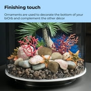 biOrb Plate Coral Set - Light Pink Aquarium Decor