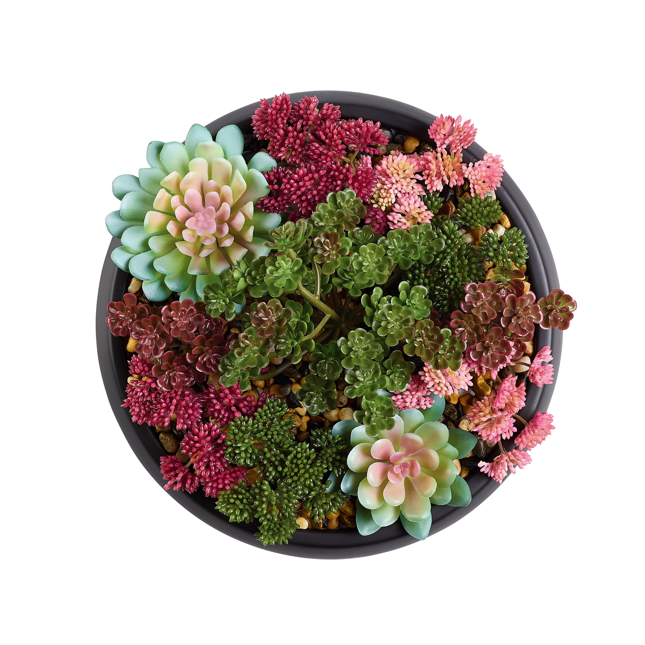 Better Homes & Gardens Artificial Mixed Succulent in Black Round Ceramic Bowl, 9"