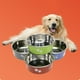 thumbnail image 3 of Comedero para perros de acero inoxidable: doble pared aislante, base de goma antideslizante, inoxidable, para comida/agua, perros pequeños y medianos, 3 of 3