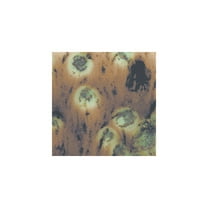 Sax Crystal Magic Glaze, Cappuccino Mint, 1 Pint