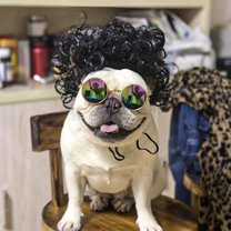Funny Pet Dress Up Wig Dog Cat Party Attire Festival Event Birthday Photo Travel Outfit - Medium Large Dog Cat Wig （Black）