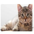 thumbnail image 1 of CAT-5 Mouse Pad Cute Cat Picture Anti-Slip Gaming Mouse Mat Replacement for PC Computer Laptop, 1 of 8
