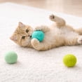 thumbnail image 4 of Soft Wool Ball Cat Toys, Handmade Felt Chase Balls for Indoor Play, Silent and Durable Pet Toys, Colorful Cat Teaser Balls, 4 of 7