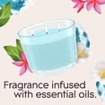 thumbnail image 2 of Glade 3-Wick Candle, Aqua Waves, 6.8 oz, Pack of 3, 2 of 6