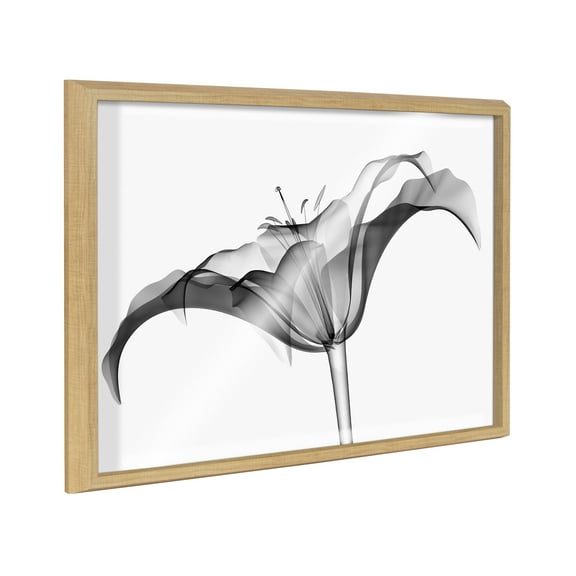 Kate and Laurel Blake Lily X Ray Floral BW Framed Printed Glass Wall Art by The Creative Bunch Studio, 18x24 Natural, Decorative Modern Flower Art Print for Wall