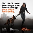thumbnail image 2 of Pup Choice Hip & Joint Glucosamine Chews for Dogs with Chondroitin, Collagen & Turmeric – Mobility & Joint Support, Beef Flavor Soft Chews, 140 Count, 2 of 10