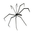 thumbnail image 5 of Miulika Halloween Decorations Giant Spider Huge Spider,Realistic,Lightweight,Collectible,Realistic Animal Toy for Yard Indoor Outdoor, 5 of 9
