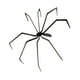 thumbnail image 5 of Decoración de araña de Halloween, adorno, aterrador, accesorio decorativo, juguete de animal realista para pared interior y exterior, patio, porche,, 5 of 8