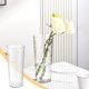 thumbnail image 1 of Transparent Vase Flower Bucket Living Room Flower Arrangement Home Decoration, 1 of 6