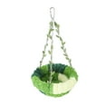 thumbnail image 1 of Cama Para Hamaca Para Loros, Suave Forro De Coral, Columpio Para Loros, Cama Para Periquitos, Lugar De Descanso, Nido Para Dormir Para Pájaros, Para, 1 of 7