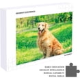 thumbnail image 5 of Dreamtimes Wooden Jigsaw Puzzles 300 Pieces, Golden Retriever in The Park Educational Intellectual Puzzle Games for Adults Kids, 5 of 7