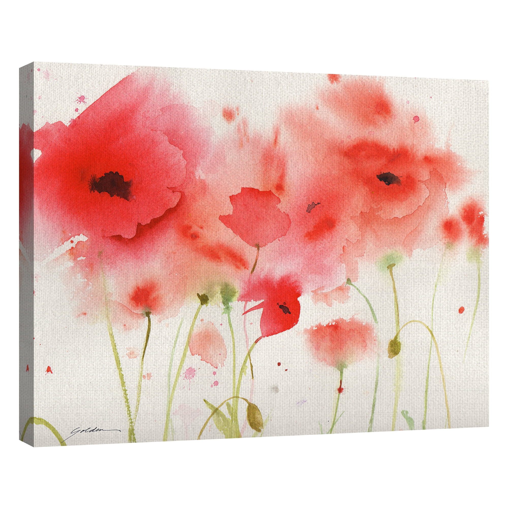 Masterpiece Art Gallery Red Poppies by Sheila Golden Canvas Art Print 22" x 28"