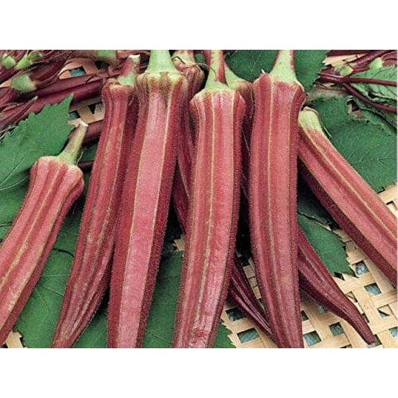 Okra RED Burgundy Great Heirloom Vegetable 2,000 Seeds BULK Wholesale