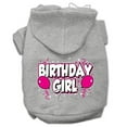 thumbnail image 1 of Birthday Girl Screen Print Pet Hoodies Grey Size Xxl (18), 1 of 1