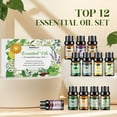 thumbnail image 3 of Hanolly Essential Oils Set, Hypoallergenic Aromatherapy Oils for Diffuser, Humidifier, Massage, Skin Care, 12 Pack, 5 ml, 3 of 9