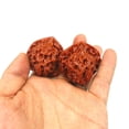 thumbnail image 5 of Clearance!Natural Chinese Wenwan Walnuts,Chinese Walnuts Fidget - 2026 New Wenwan Walnut（2 Set), 5 of 6