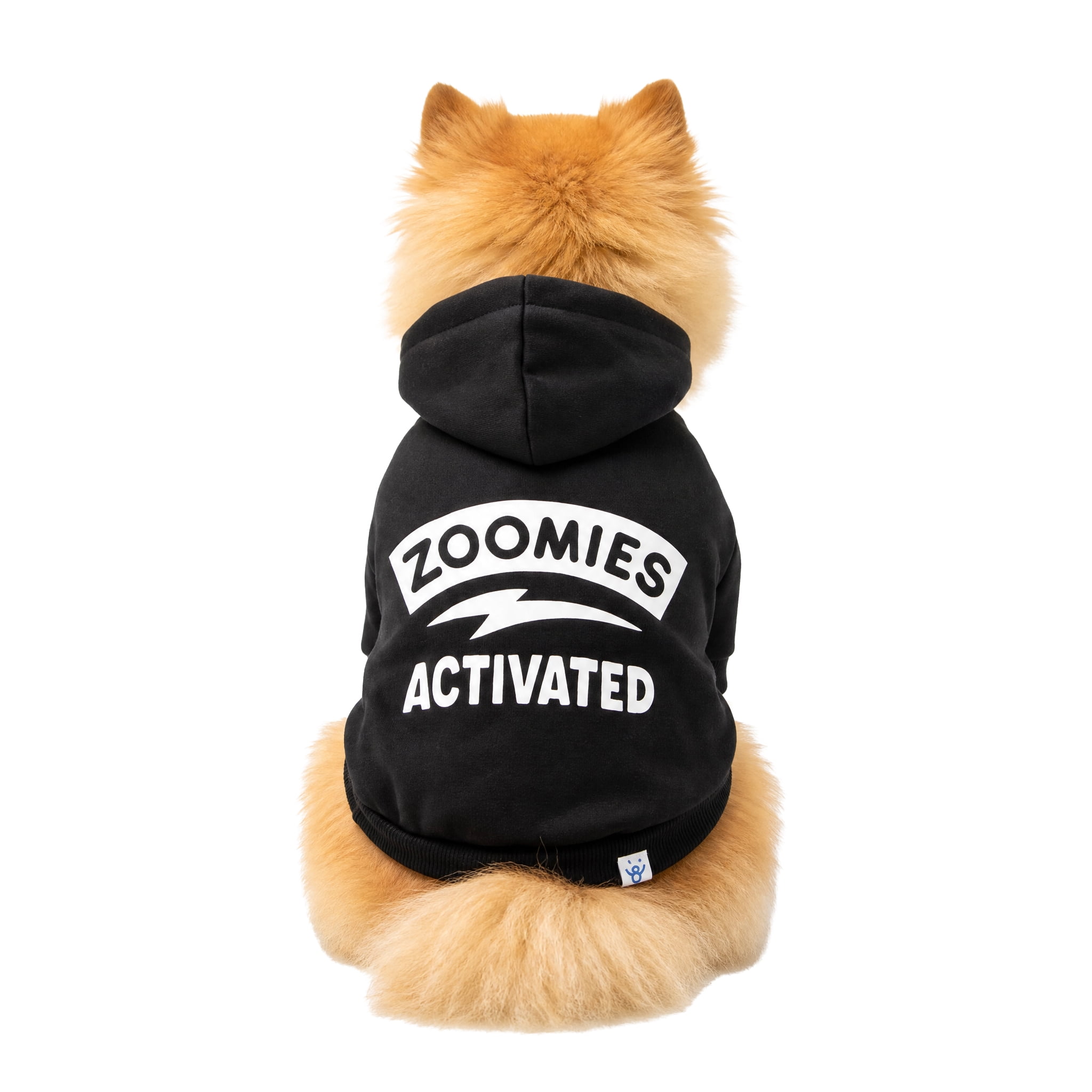 Oodles Zoomies Activated Fall Dog Hoodie, Black, Small