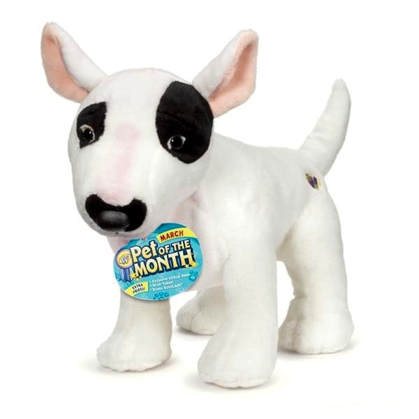 bull terrier items