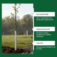 thumbnail image 6 of Tree Whitewash Agent for Trunks - 10 fl oz Whitewash Tree Paint, Sun & Frost Protection for Fruit Trees, Saplings & Plants, Weather-Resistant Trunk Coating, 6 of 7
