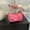 Pink, variant on Specollect Clearance 1Pcs Shoulder Bags for Women, PU Shoulder Bag, Lady Underarm Bag, Mini Handbags and Zipper Closure - Gift for Christmas, Birthday and Anniversary