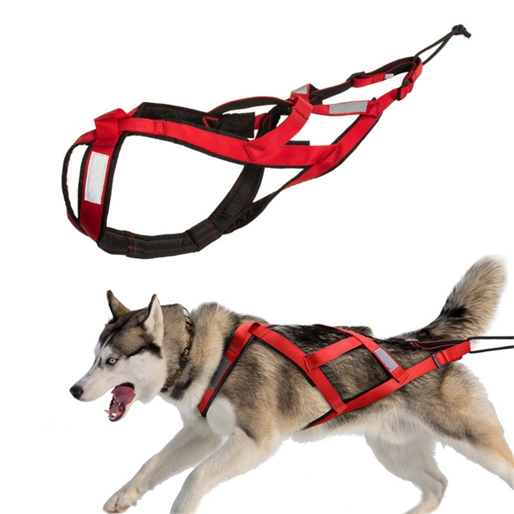 WINDLAND Dog Harness for Outdoor Sports and Adventures Use Skiing Running Pet Harnesses