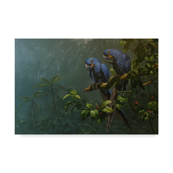 Trademark Fine Art 'Blue Macaws' Canvas Art by Michael Jackson