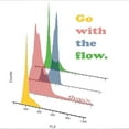 thumbnail image 3 of CafePress - Go With The Flow Cytometry T Shirt - Men's Classic Graphic T-Shirt, 3 of 4