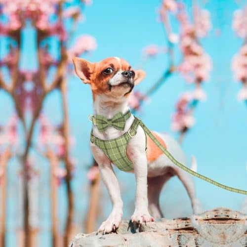 Cute Extra Small Dog Harness Collar and Leash Set with Bowtie, Soft Adjustable Plaid Puppy Harness for Small Sized Dogs Cats Walks Parties and Photoshoots(Green,XXS:Chest 12-14")