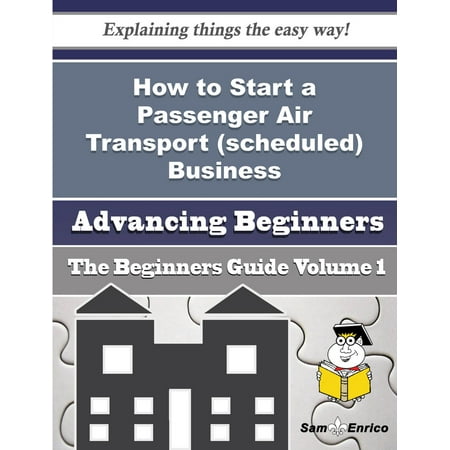 How to Start a Passenger Air Transport (scheduled) Business (Beginners Guide) -