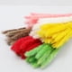 thumbnail image 4 of Phagmites De Hierba De Pampas Secas Pequeñas Decoración De Fragmitas Pequeños De Pampas Pequeños De Hierba De Decoración De Flores Secas Para Bodas En El Hotel Yuarrent HA044444-06, 4 of 6