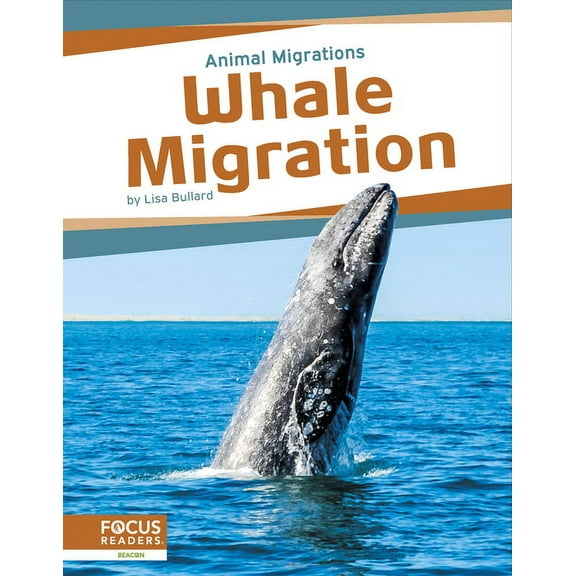 Whale Migration, (Hardcover)