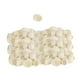 thumbnail image 4 of 100 Piezas de Capullos de Limpiador Facial Salvador Exfoliante Natural, 4 of 10